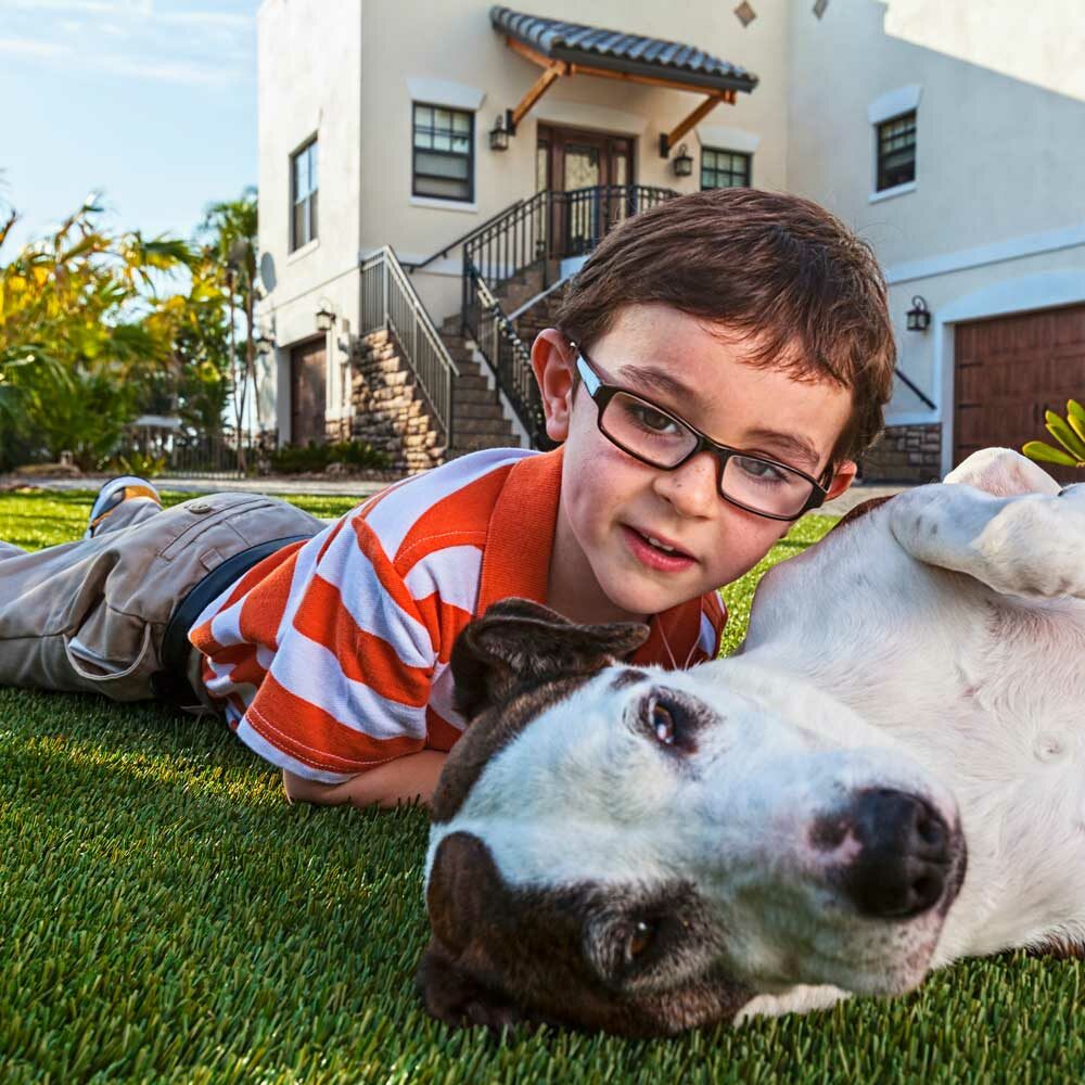 dog and boy laying on turf